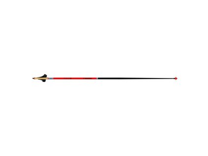 Hole Rossignol FORCE 9