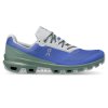 Pánské boty ON Running Cloudventure Waterproof 2 Cobalt/Ivy