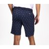 Pánské šortky Kjus Iver Printed Shorts (10'') Atlanta Blue-White