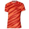 Pánské Triko Mizuno DAF Graphic Tee Mizuno Soleil