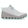 Pánské boty On Running Cloudroam Waterproof - Frost/Fog