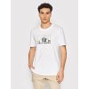 Pánské triko Helly Hansen Nord Graphic T-shirt 62978-002 bílá