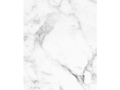 APS 101 BIANCO CARRARA