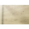 SPC interior wall panel - Oak Emma