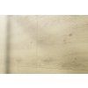 SPC Wandpaneel für den Innenbereich - Oak Emma