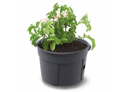 646fe1937f PPIZIE400 S433 1