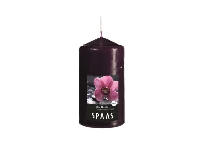 Vonná svíčka válec 8x15cm orchidej