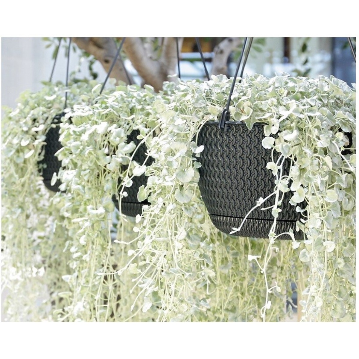 Květináč závěsný SPLOFY ROUND W antracit 27cm 0,31Kg GIGA Sklad 5 PPDSPW270-S433