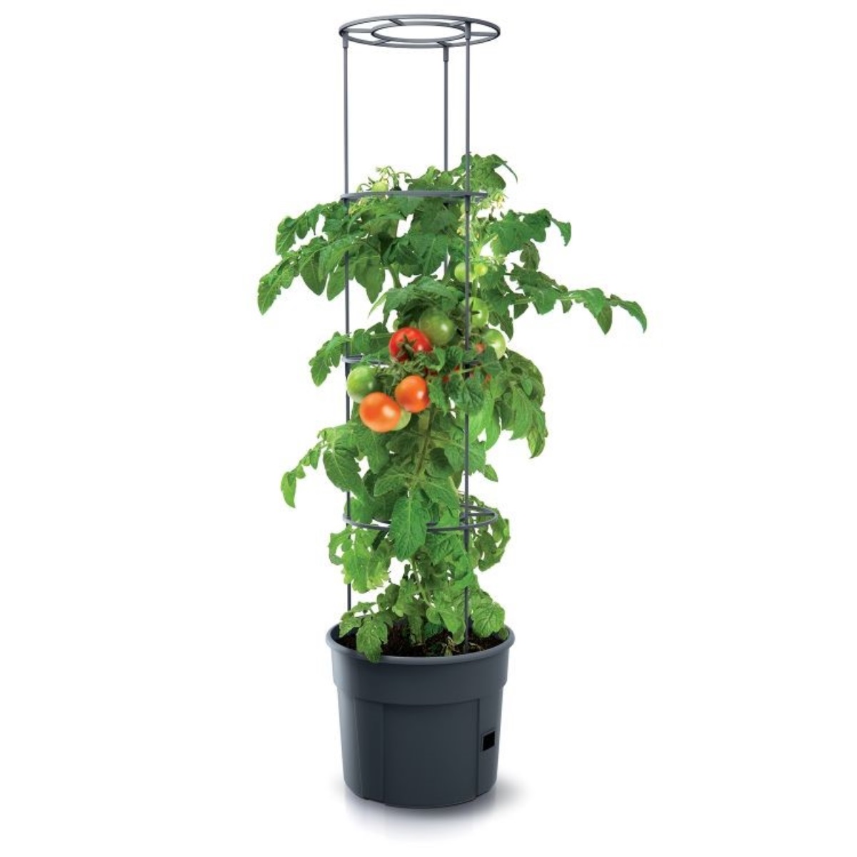 Květináč na pěstování rajčat TOMATO GROWER antracit 39,2cm (max. výška: 153cm) 1,25Kg GIGA Sklad 5 PPIPOM400-S433