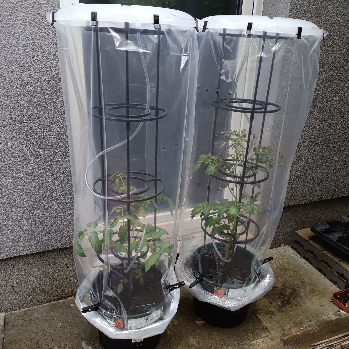 Květináč na pěstování rajčat TOMATO GROWER antracit 39,2cm (max. výška: 153cm) 1,25Kg GIGA Sklad 5 PPIPOM400-S433