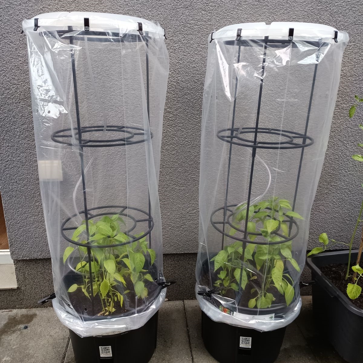 Květináč na pěstování rajčat TOMATO GROWER antracit 39,2cm (max. výška: 153cm) 1,25Kg GIGA Sklad 5 PPIPOM400-S433