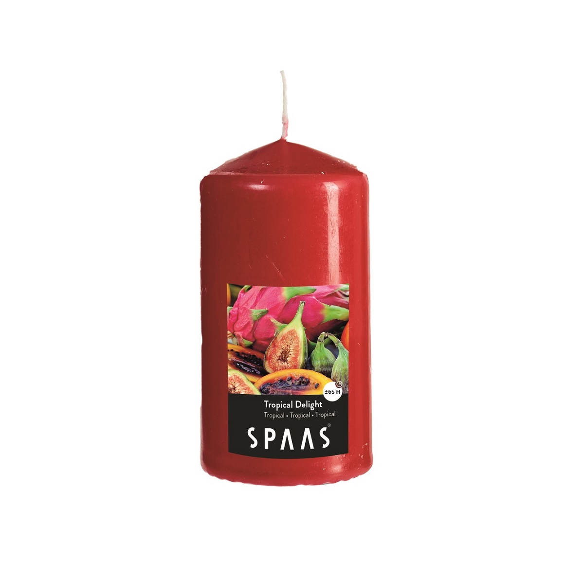 Vonná svíčka válec 8x15cm tropical 0,61Kg GIGA Sklad 5 0004800-006