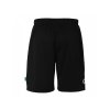 TEAM SHORTS POLANKA (Barva black, Velikost 116)