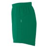 PERFORMANCE SHORTS W (Barva black, Velikost 2XL)