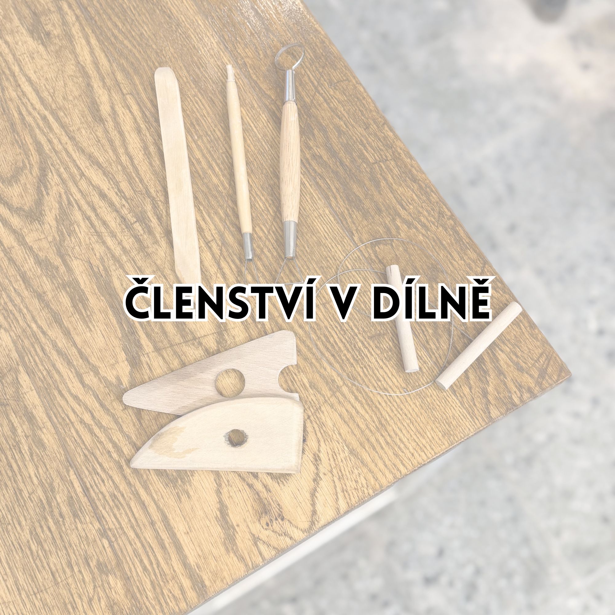 ČLENSTVÍ V KERAMICKÉ DÍLNĚ