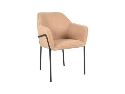 Jídelní židle DEXTER béžová