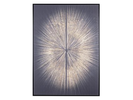 Tisk na plátně PAPRSEK 102x142cm