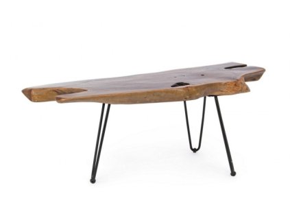 Teakový konferenční stolek ADANYA 100x40 cm