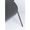 Jídelní židle ANASTASIA šedá