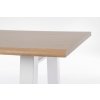 Jídelní stůl FRED 180x90cm s bílými nohami