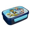 1948 box na svacinu paw patrol