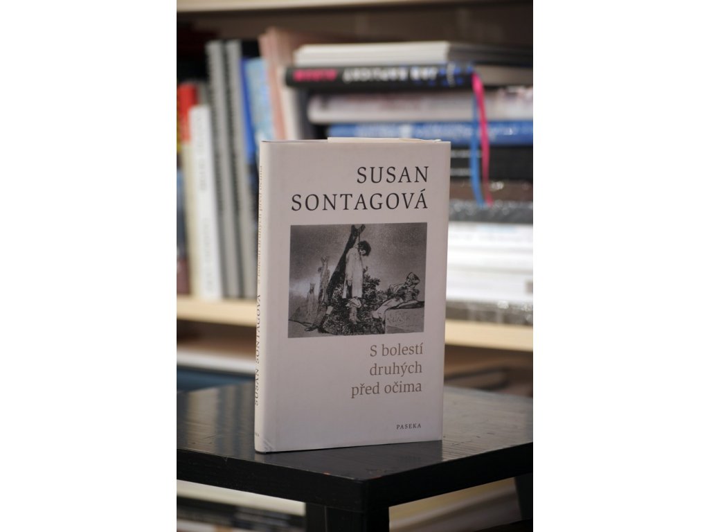 4646 susan sontagova s bolesti druhych pred ocima