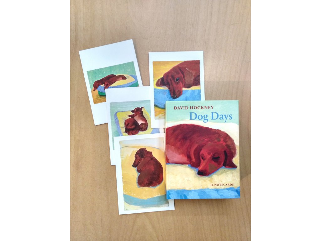 11321 david hockney dog days notecards