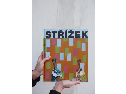 3017 1 antonin strizek monografie