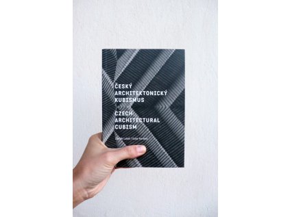 4373 1 cesky architektonicky kubismus czech architectural cubism ester havlova zdenek lukes