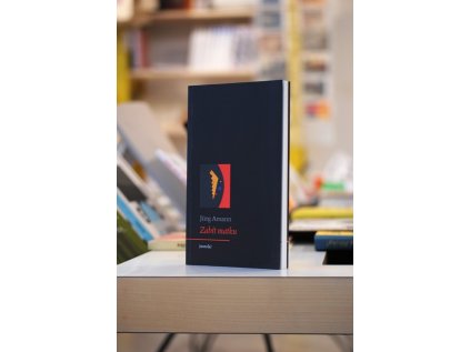 4724 zabit matku novela jurg amann