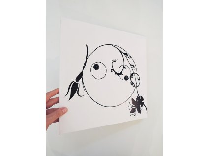 8780 vinyl sounds of avu obal vladimir skrepl