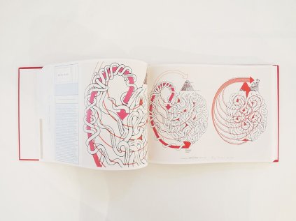 8816 mapping it out an alternative atlas of contemporary cartographies hans ulrich obrist ed