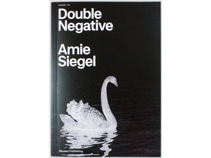 9113 double negative amie siegel