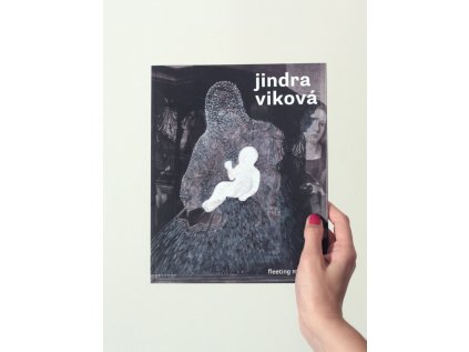 9383 3 prchave okamziky fleeting moments jindra vikova