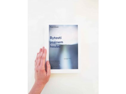 10304 bytosti jmenem houba pavel jirasek