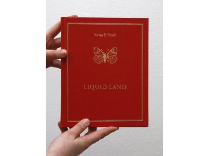 10397 3 liquid land rena effendi