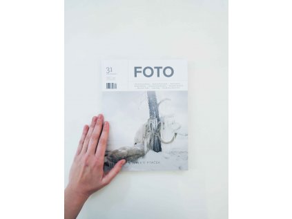 10451 foto 2017 31