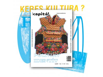 15119 kapital 3 2019 politiky identit