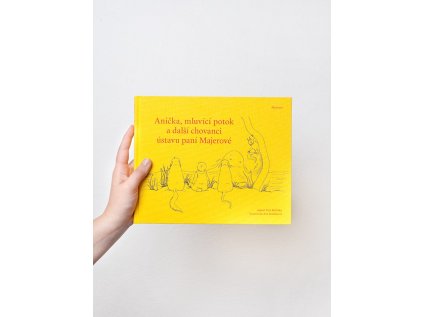 Anička, mluvící potok a další chovanci ústavu paní Majerové