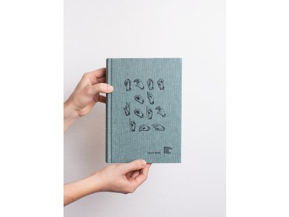 16220 acts of voicing the poetics and politics of the voice