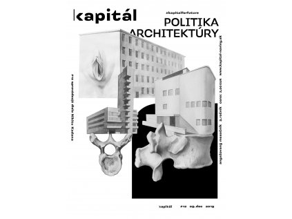 16604 kapital 12 2019 politika architektury