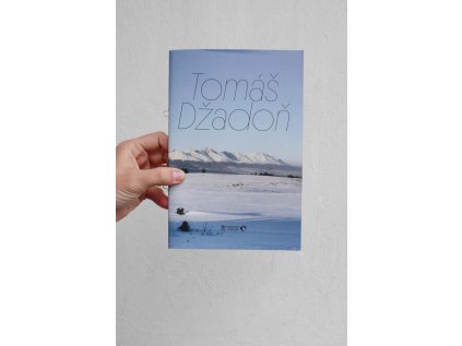 17132 1 tomas dzadon catalogue eng