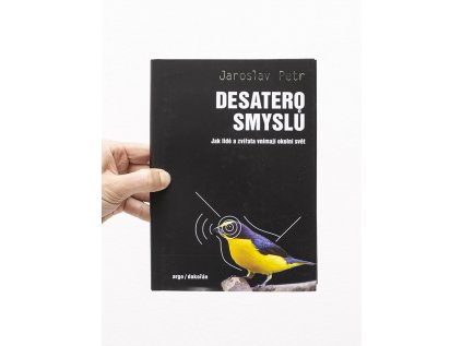 desatero smyslu