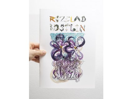 rozklad rostlin cover