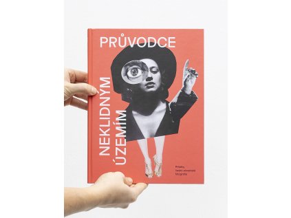 pruvodce neklidnym cover