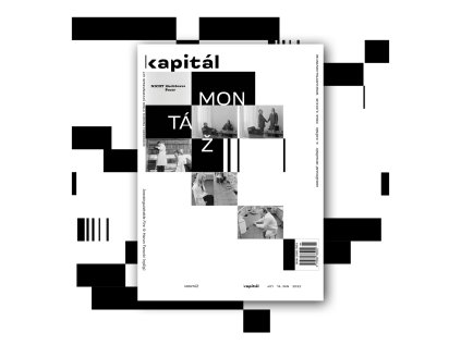 2201 KAPITAL 01 MONTAZ WEB PROFILOVKA
