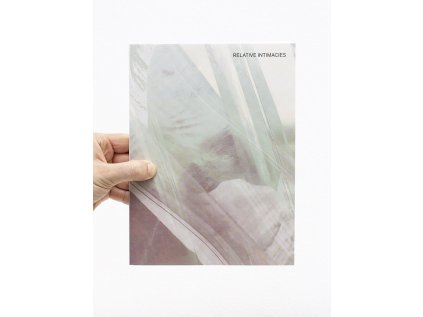 relative intimacies cover