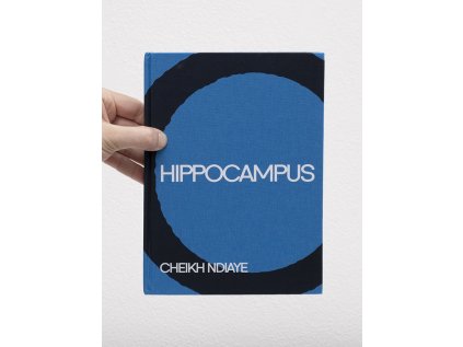 Cheikh Ndiaye: Hippocampus – Jana Berankova, Valérie Knochel Abecassis, Simon Poulain (eds.)