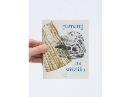 Pamatuj na střízlíka – Radek Štěpánek