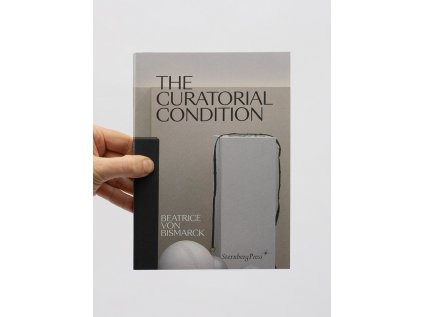 The curatorial condition titulka